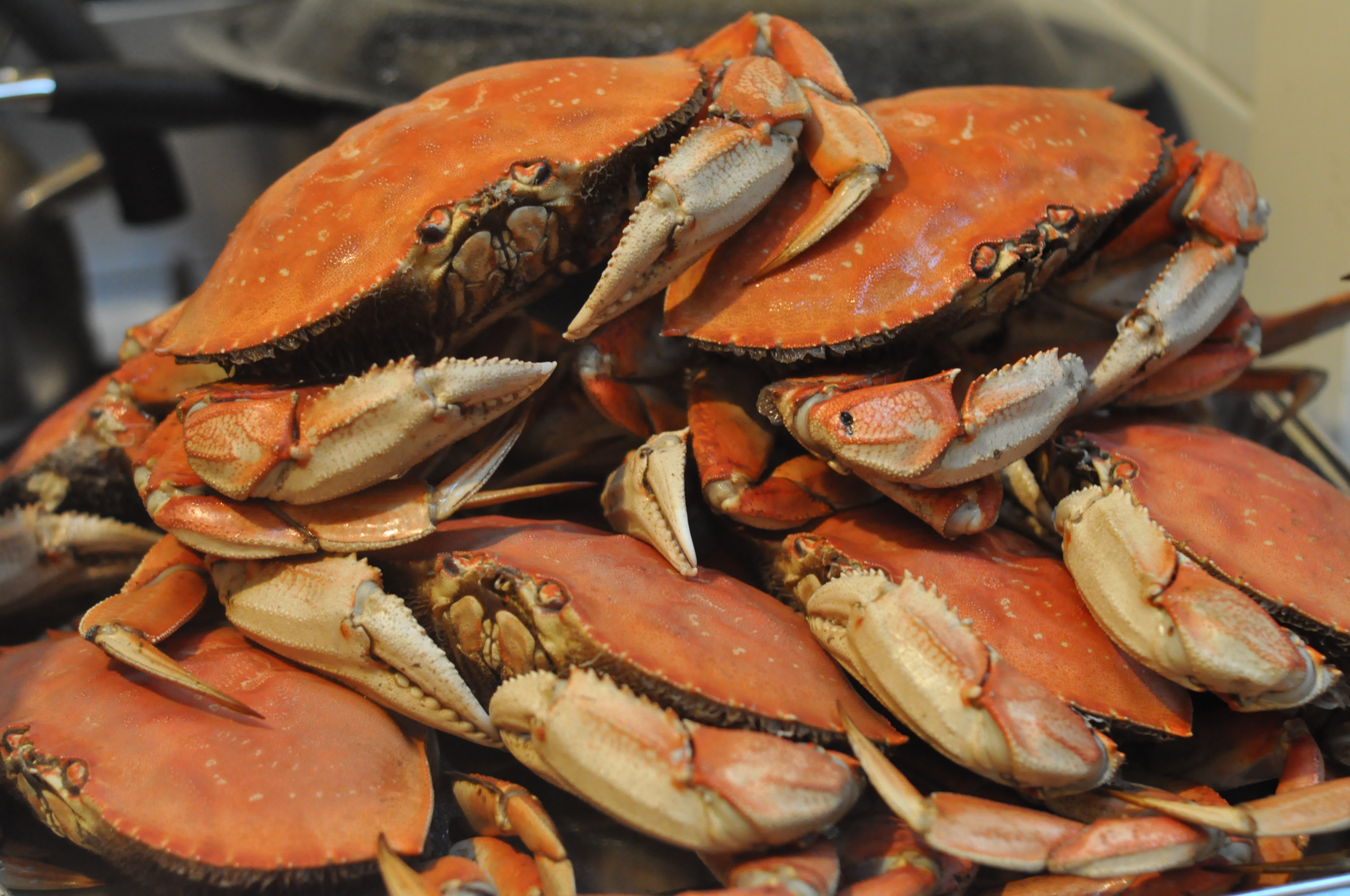 Crab Boil! How To Cook Live Crabs | Amy Glaze's Pommes D'Amour