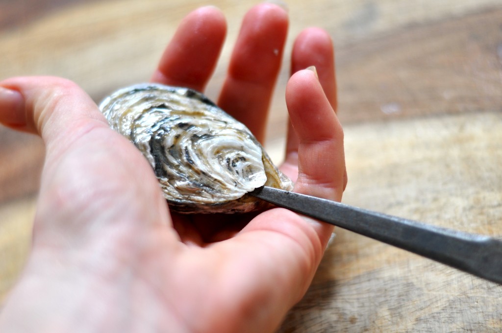 Gently wheedle tip of oyster knife in the hinge