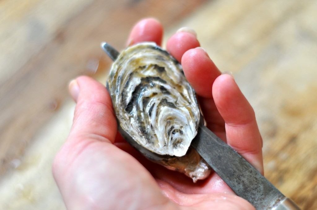 Slide knife blade along lid through muscle on the right to unhinge from top shell