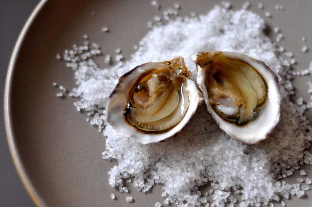 Kusshi Oysters on the half shell