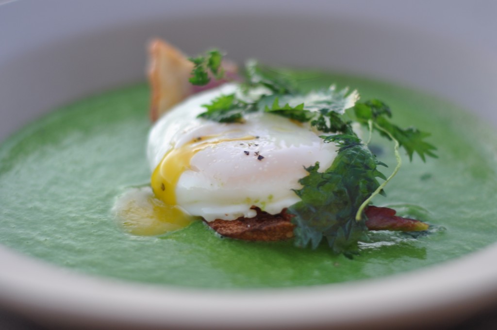 Nettle & Green Garlic Soup