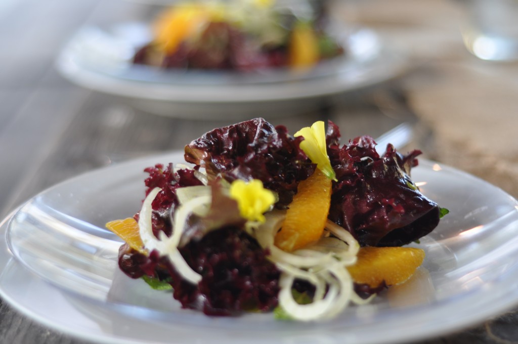 Purple lettuce, shaved fennel, mint, orange, sour grass salad DSC_0187