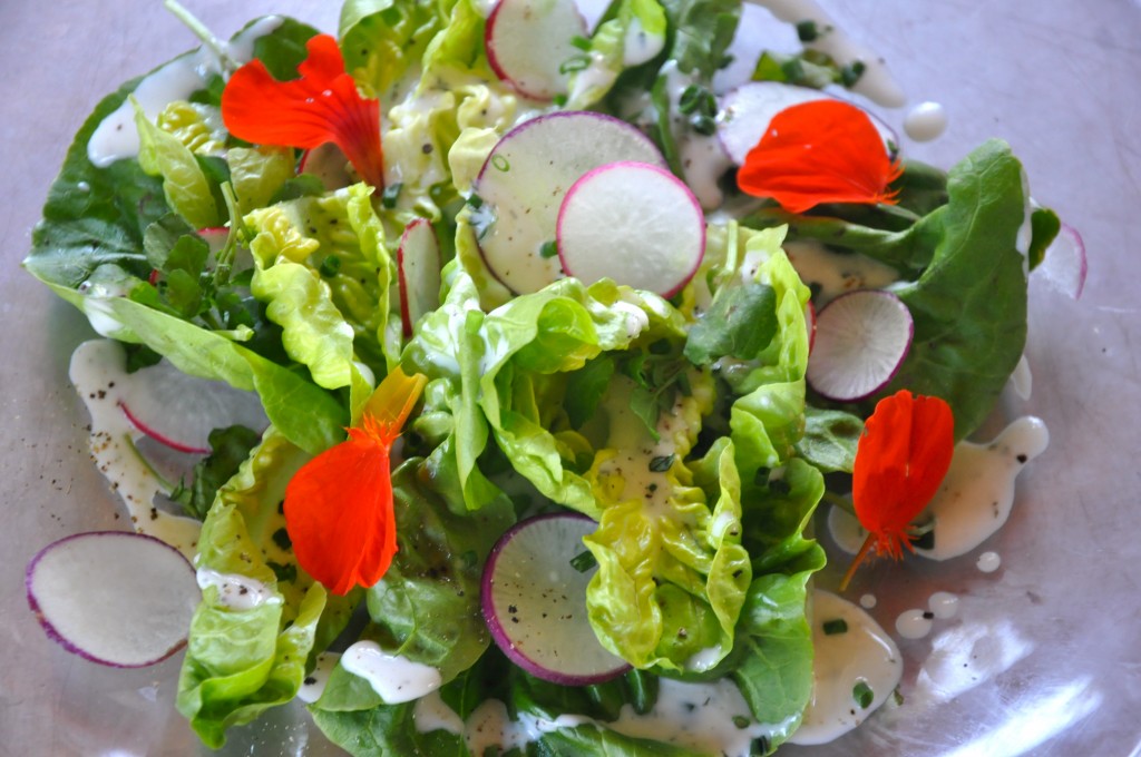 Buttermilk Dressing