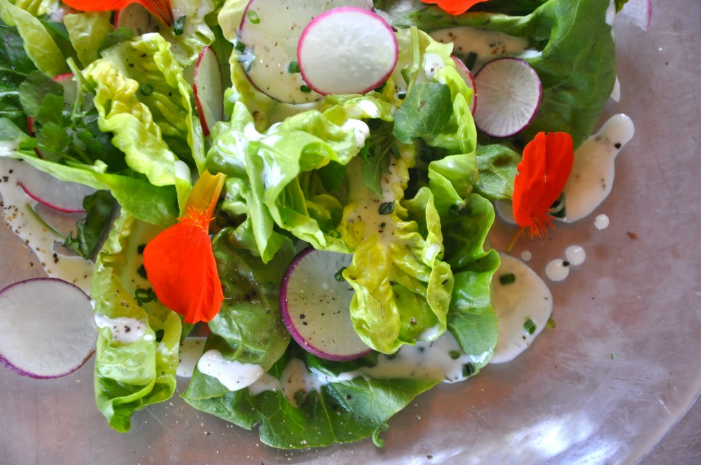 Little Gem Salad with Buttermilk