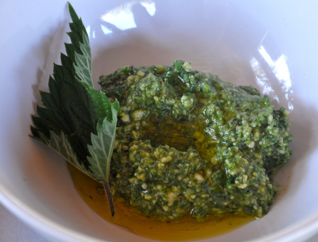 Nettle Pesto: a side dish for my side dish