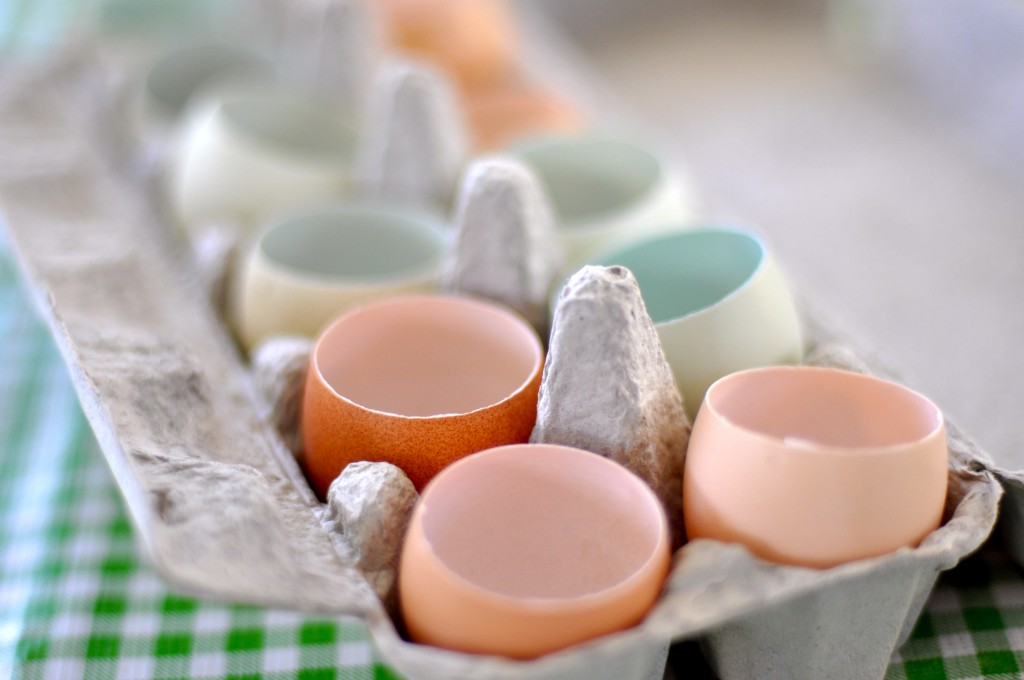 Egg Shell Cups