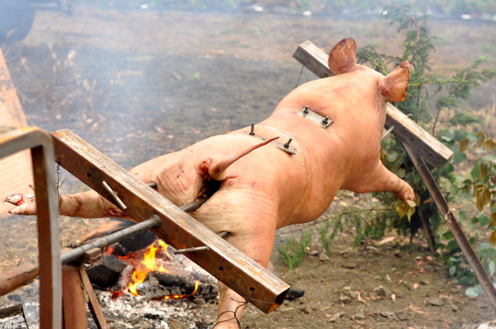 spit roasted pig