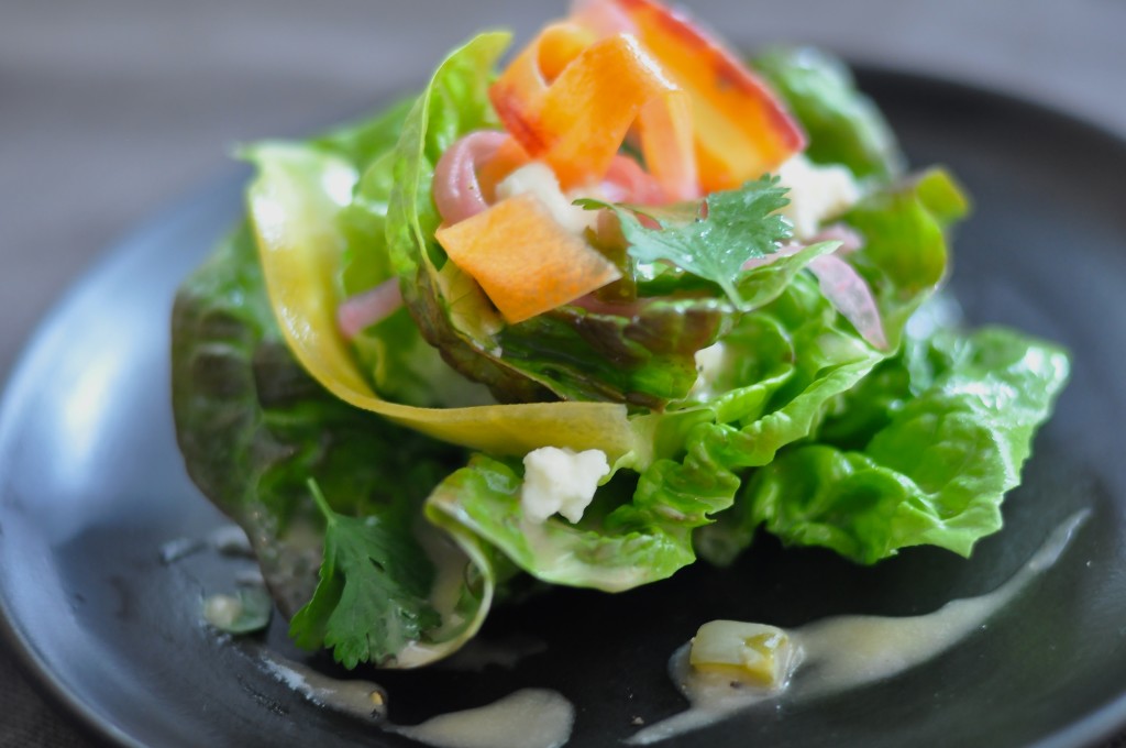 Salad with Carrot, Nopales and Farmcheese