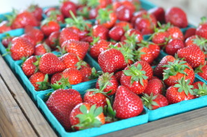 Farm Fresh Strawberries