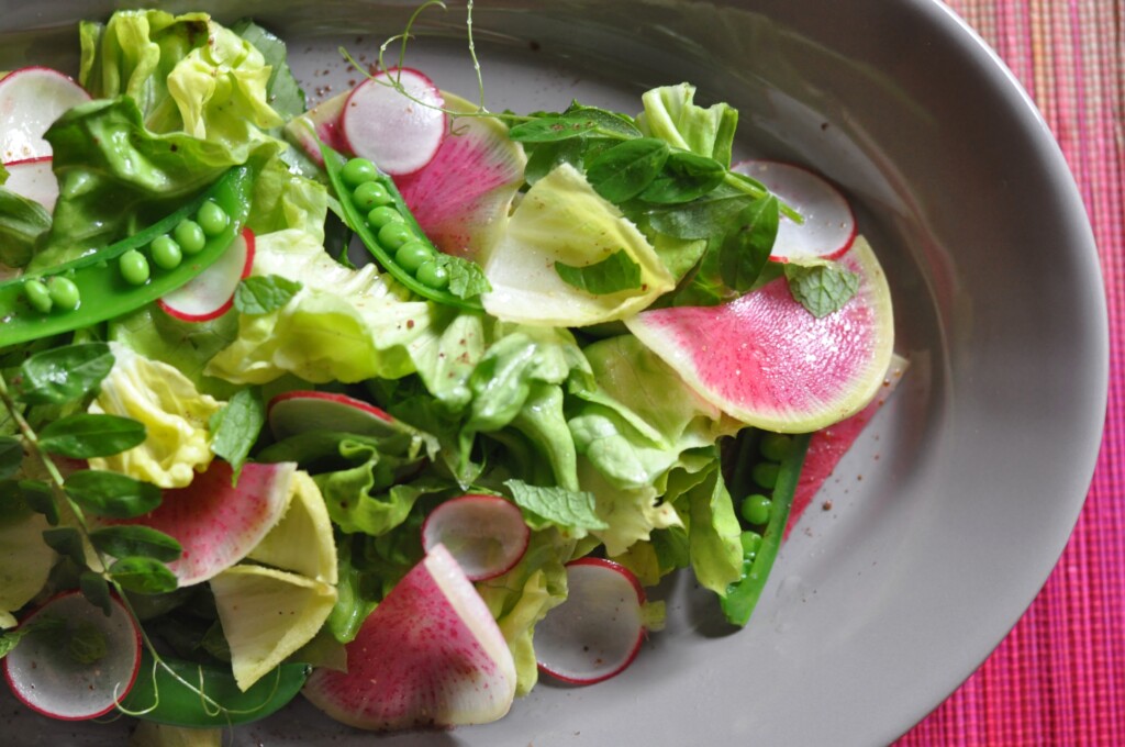 Spring Radish & Sweet Pea Salad with baby lettuces, mint, and pea tendril