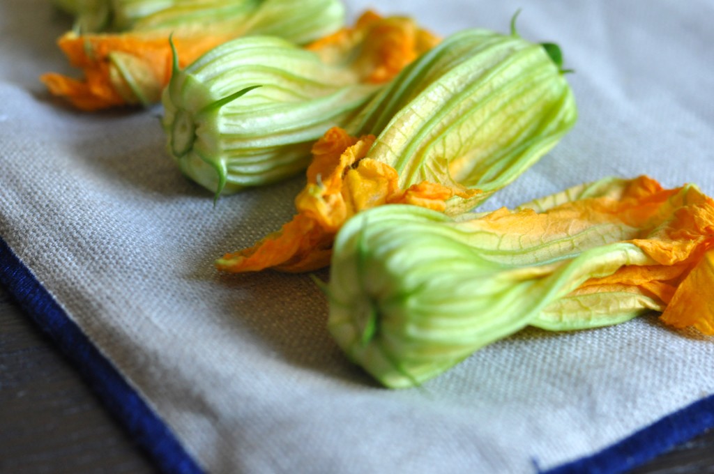Squash Blossoms