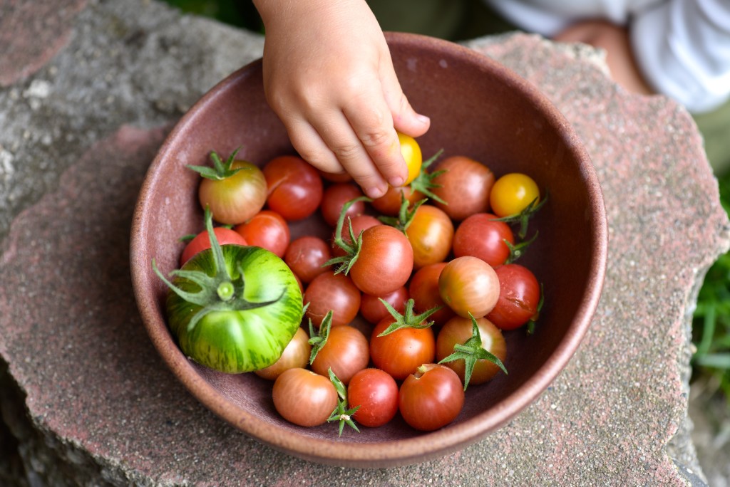 Layla in the Tomato Bowl